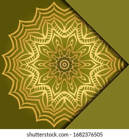 Mandala background. Vector illustration. For book cover
