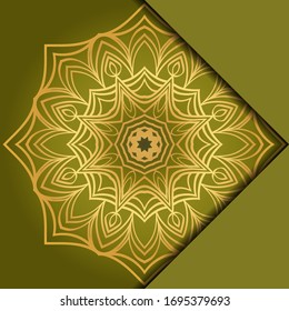 Mandala background. Vector illustration. For book cover