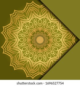 Mandala background. Vector illustration. For book cover