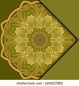 Mandala background. Vector illustration. For book cover