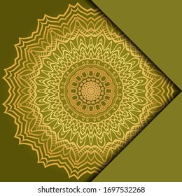 Mandala background. Vector illustration. For book cover