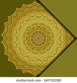 Mandala background. Vector illustration. For book cover