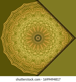 Mandala background. Vector illustration. For book cover