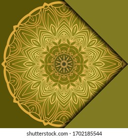 Mandala background. Vector illustration. For book cover