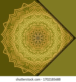 Mandala background. Vector illustration. For book cover