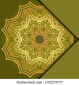 Mandala background. Vector illustration. For book cover