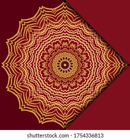 Mandala background. Vector illustration. For book cover