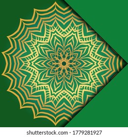 Mandala background. Vector illustration. For book cover