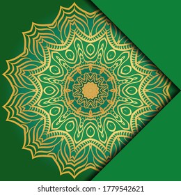 Mandala background. Vector illustration. For book cover