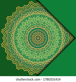 Mandala background. Vector illustration. For book cover