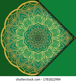 Mandala background. Vector illustration. For book cover