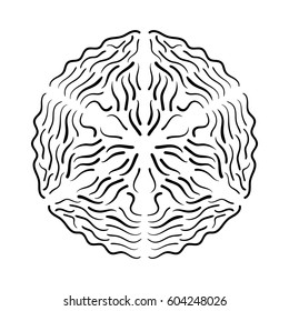 Mandala with Calligraphic elements for different design. Vector illustration