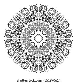 Mandala, a circular pattern from natural plant forms. The branches, seaweed, black and white graphics, painted by hand.