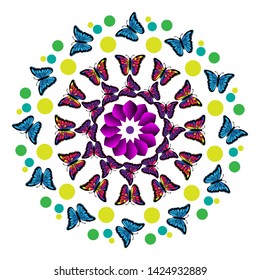mandala colorful butterfly vector design white background