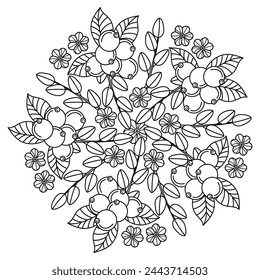 Mandala for Coloring book pages. Berry vector illustration. Cartoon Black and white pictures.