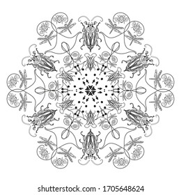 Mandala for coloring. With the image of a scarab beetle, a bee and a dragonfly. Design for tattoo, greeting card, t-shirt, fabric bag, poster. Insect collection. Antistress.