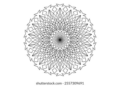 Mandala Design with Beautiful Work