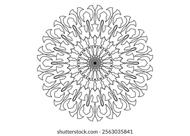 Mandala Design with Beautiful Work