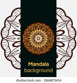 Diseño de Mandala.antecedentes para el afiche de la meditación. Forma inusual de flor. vector.