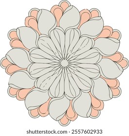 Mandala flower color vector image.