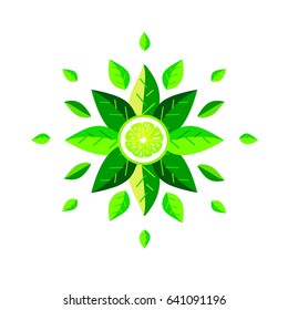 Mandala of fresh leaves with lime.Vector illustration.