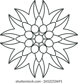 Mandala Indian Pattern Islamic Ornament Black White Islamic Ornament And Mandala 
