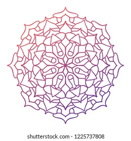 mandala pattern design vector