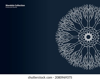 mandala pattern vintage ethnic tribal template style element wallpaper background motif circle art texture print traditional elegant rpund ornament drawing decoration gold meditation flower asian