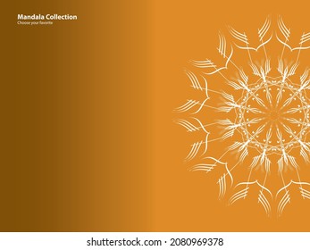 mandala pattern vintage ethnic tribal template style element wallpaper background motif circle art texture print traditional elegant rpund ornament drawing decoration gold meditation flower asian