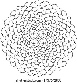 Mandala round lace pattern coloring page book black and white art therapy relax psychology