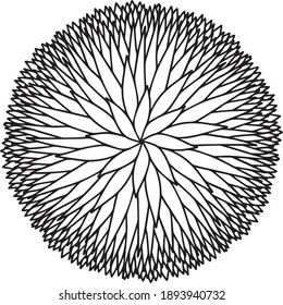 Mandala round lace petals pattern star lined doodle coloring book page black and white background art therapy relax psychology