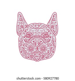 Mandala style illustration of a french bulldog head viewed from front set on isolated white background. 