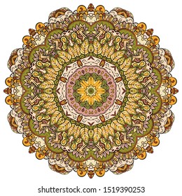 Mandala, tracery wheel mehndi design. Ethnic ornament, colorful doodle symmetry texture. Folk traditional spiritual tribal design. Curved shape, isolated on white. Color art. Vector