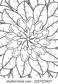 Mandalas Coloring Pages Adult And Kids Vector art.