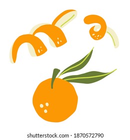 Mandarin branch. Exotic tropical orange citrus fresh fruit, whole juicy tangerine with orange peel vector cartoon minimalistic style isolated illustration, print or banner, label or poster, sticker