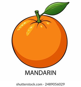 Mandarin im Cartoon-Stil auf weißem Hintergrund. Vektorillustration.