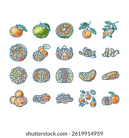 mandarin clementine orange fruit doodle icons set vector. tangerine citrus, fresh food, organic sweet green leaf, healthy juice tropical slice mandarin clementine orange fruit sketch hand drawn