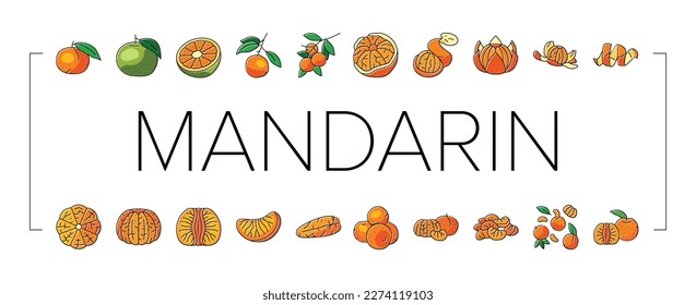 mandarin clementine orange fruit icons set vector. tangerine citrus, fresh food, organic sweet green leaf, healthy juice tropical slice mandarin clementine orange fruit color line illustrations