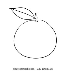 Mandarin doodle icon. Hand drawn black sketch. Vector Illustration.