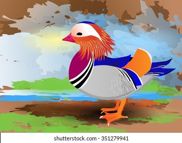 A Mandarin duck. The beautiful lake bird with colorful plumage.