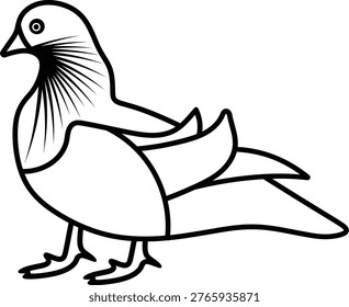 mandarin duck China bird mandarin duck poultry animal pet 15902