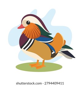 Mandarin duck in flat wildlife style. Mandarin duck illustration featuring Aix galericulata, colorful waterfowl for education use.