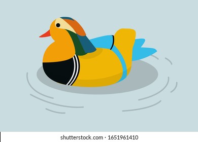 Pato mandarín flotando en el agua