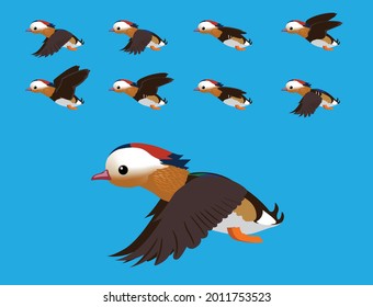 Mandarin Duck Flying Animation Sequence Cartoon Vector