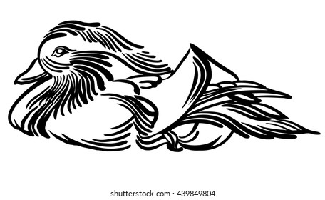 Mandarin duck - isolated black and white vector illustration, stylized engraving