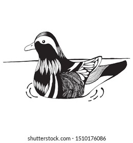 A Mandarin duck made by hand drawn with black pen. It's has pattern on it's body.