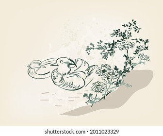 mandarin duck vector card japanese chinese nature ink illustration engraved sketch traditional