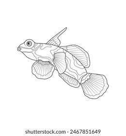 Mandarin fish. Black and white illustration. Coloring.