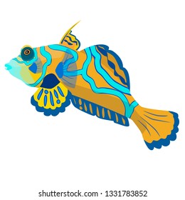 Mandarin fish. Isolated vector image.