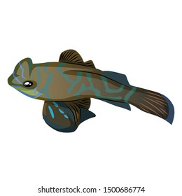 Mandarin Fish Vector Illustration Isolated On White Background